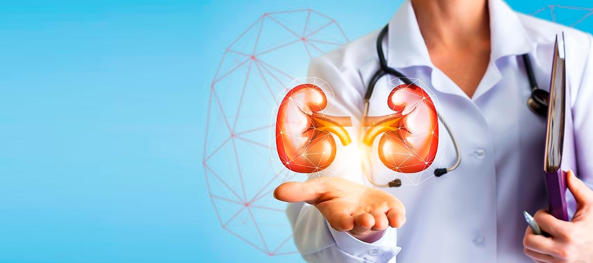 best kidney stone specialist in zirakpur